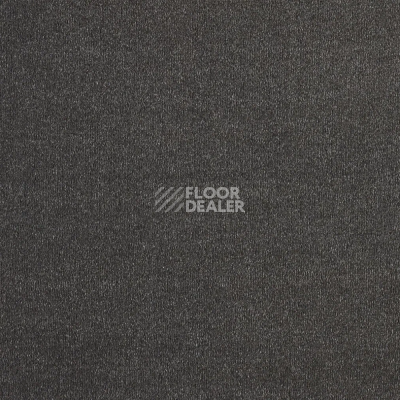 Ковролин AW Sentiment 98 фото 1 | FLOORDEALER